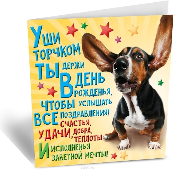 Прикольные поздравления с днем рож