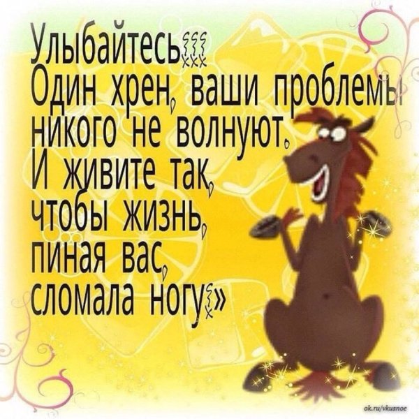 Смешные цитаты