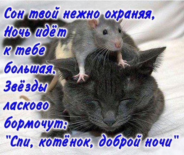 Спокойной ночи любимому