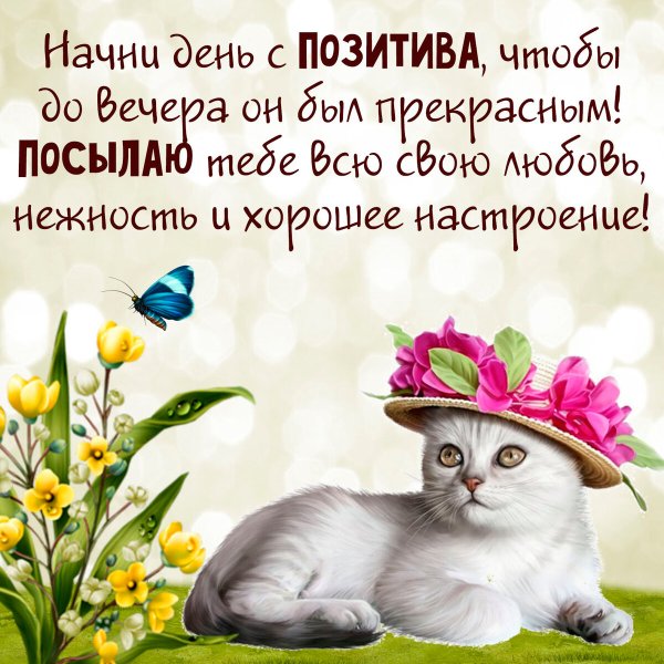 Поздравление с хорошим днем в картинках