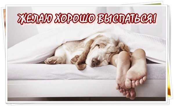 Пожелания спокойной ночи