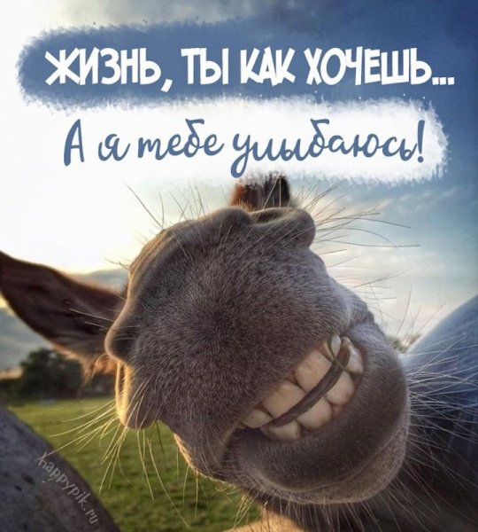 Позитив картинки