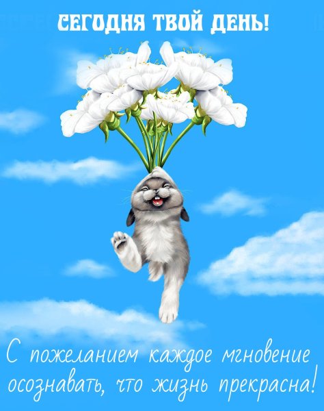 С днём рождения Сю прикольная