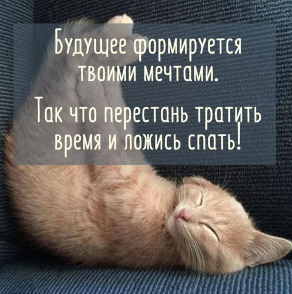 Спокойной ночи прикол