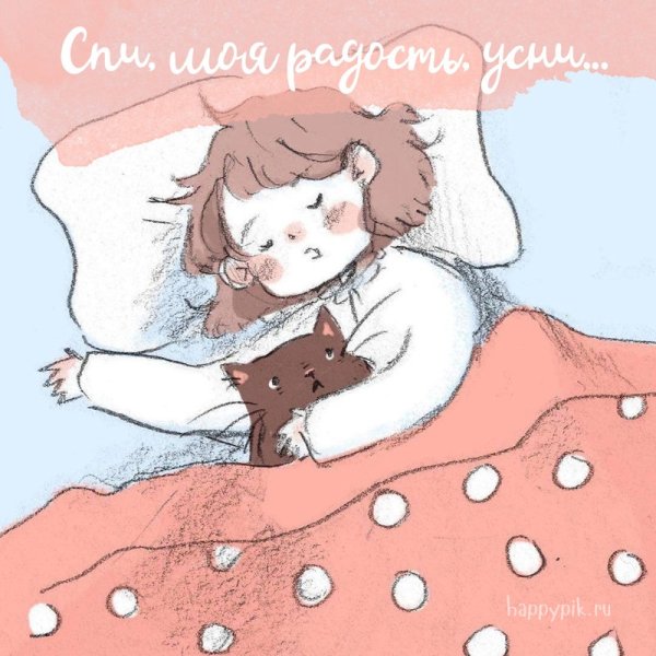 Спокойной ночи картинки прикольные