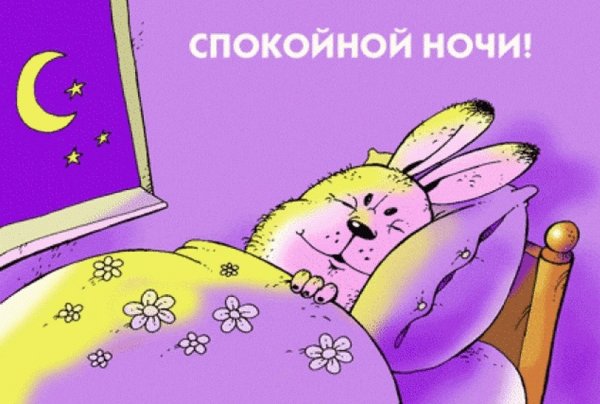 Прикольные пожелания спокойной ночи