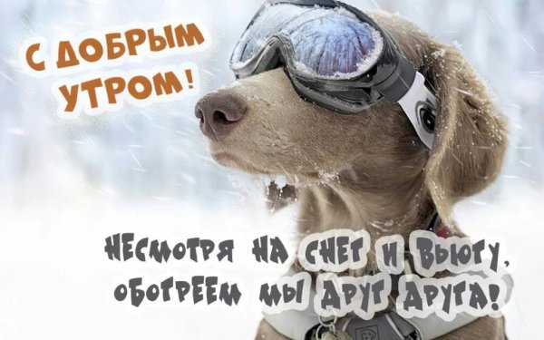 Открытка с холодным зимним утром