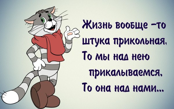 Веселые жизненные картинки