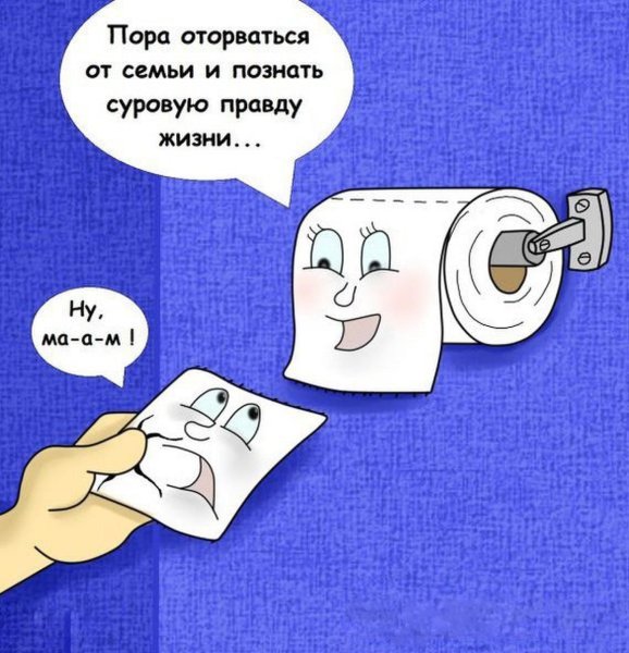 Смешная туалетная бумага