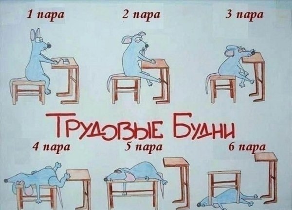 Смешные приколы про студентов