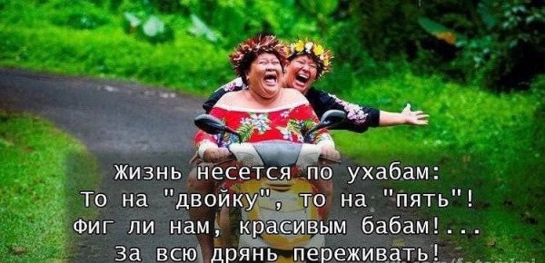 Жизнь несется по ухабам