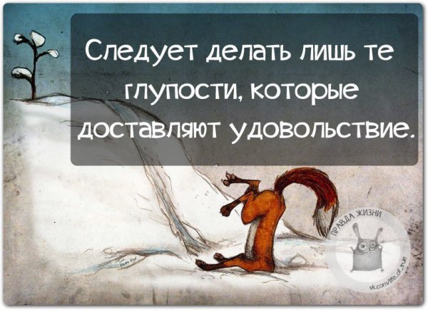 Юмористические высказывания в картинках