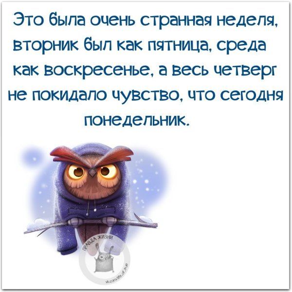 Правда жизни афоризмы