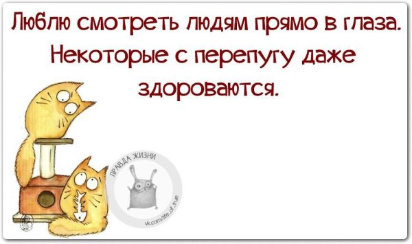 Правда жизни приколы