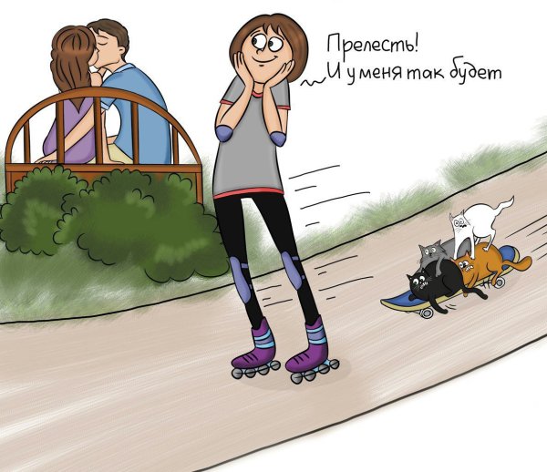 Жизненные картинки с юмором