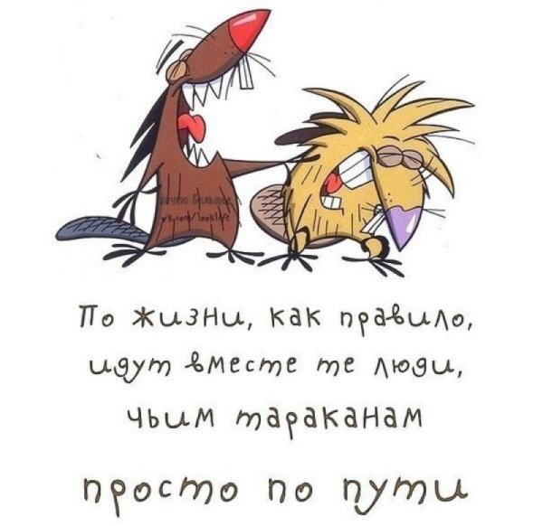 Веселые цитаты