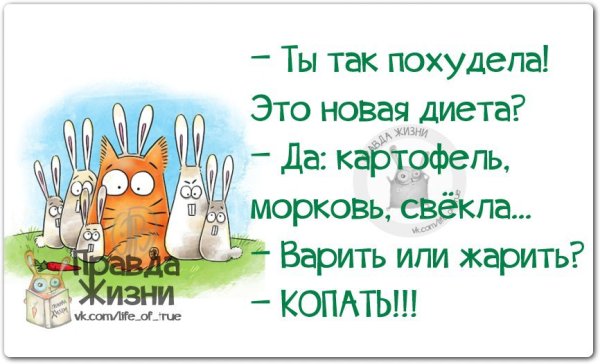Правда жизни цитаты