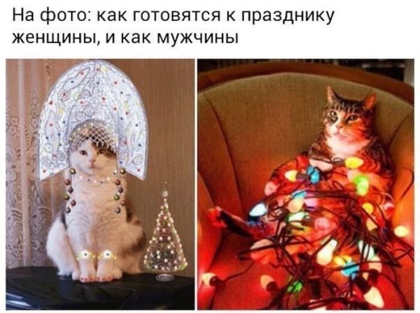 Смешные новогодние картинки