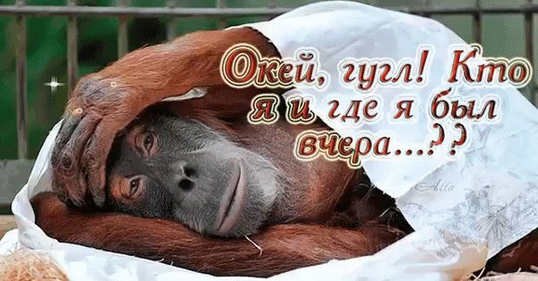 С добрым утром после пьянки прикольные