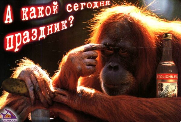 С днем рождения с обезьянками прикольные