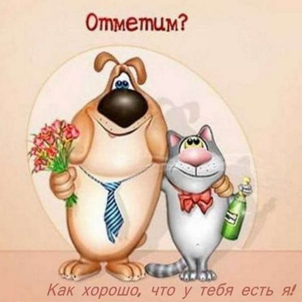 Смешные открытки