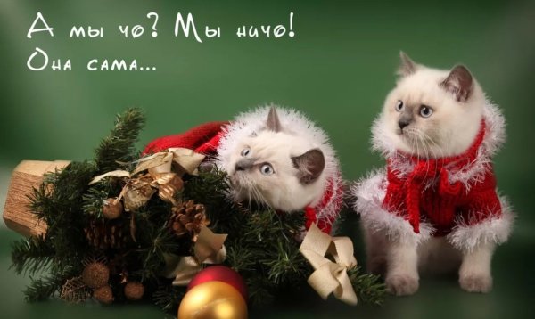 Веселые новогодние картинки