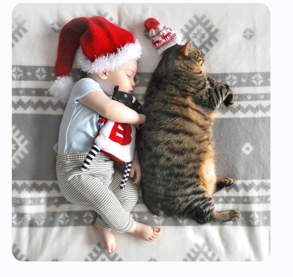 Новогодние высказывания