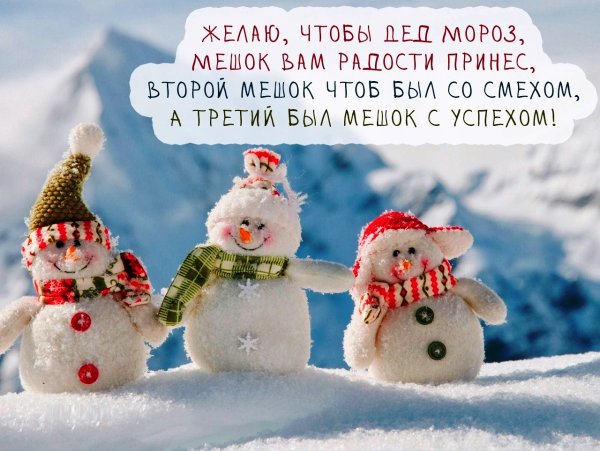 Поздравления с новым годом прикольные
