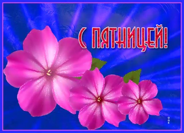 С пятницей цветы