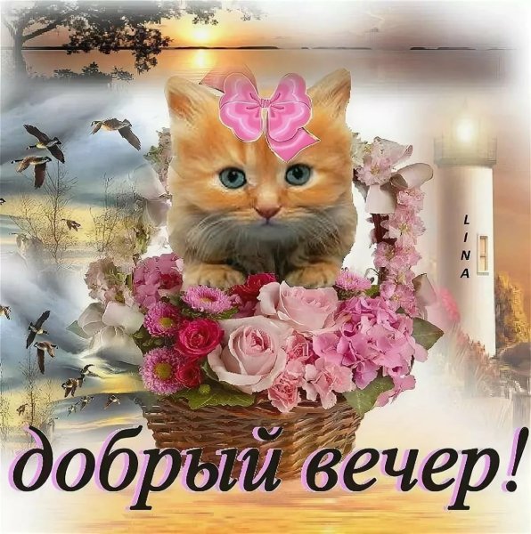 Открытки добрый вечер красивые