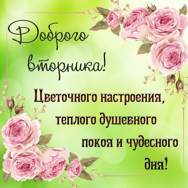 Сдобрым ктррм вторника