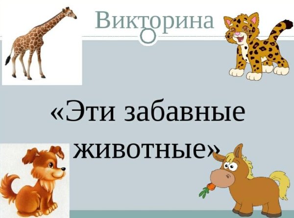 Эти забавные животные плакат
