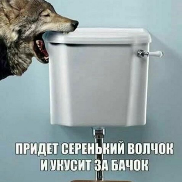 Укусит за бочок