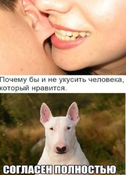 Кусать любимого человека