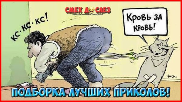 Открытки приколы смешные до слез