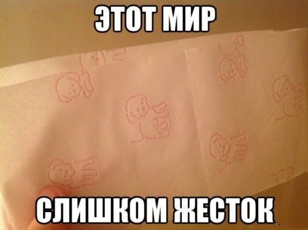 Приколы картинки с надписями