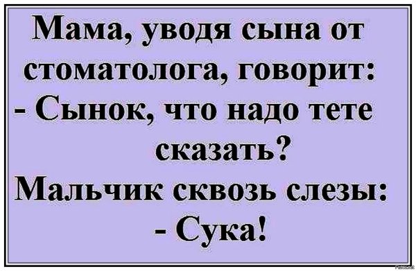 Шутки в картинках с надписями