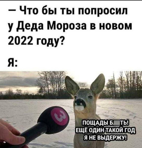 Картинки с шутками и приколами
