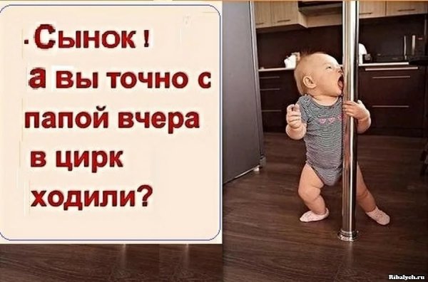 Картинки прикольные смешные с надписями