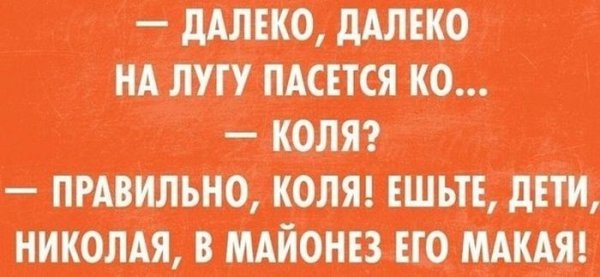 Смешные высказывания про Колю