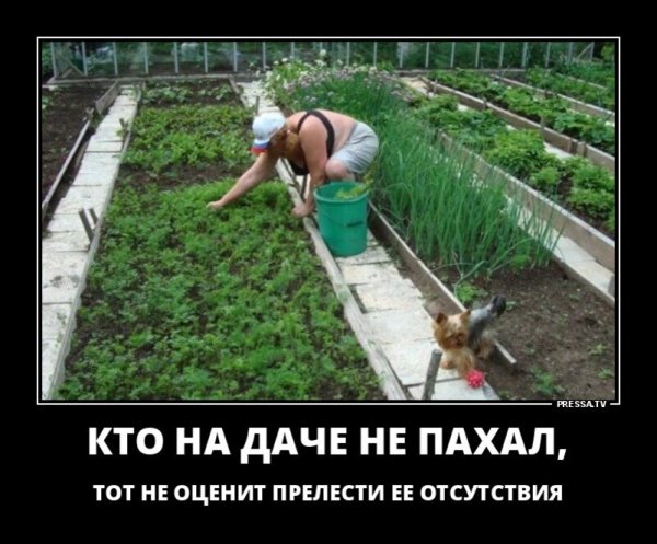 Смешной Садовод