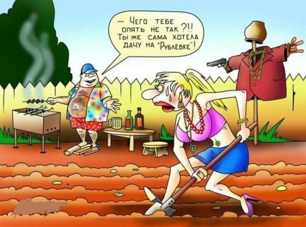 Картинки карикатуры смешные