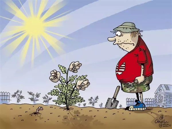 Карикатуры на огородные работы