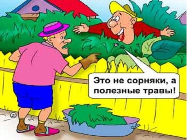 Огород карикатура