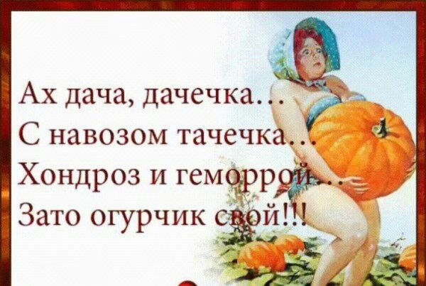 Цитаты про огород смешные