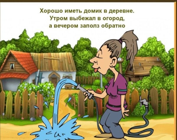 Шутки про дачу