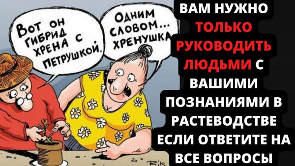 Дачник карикатура