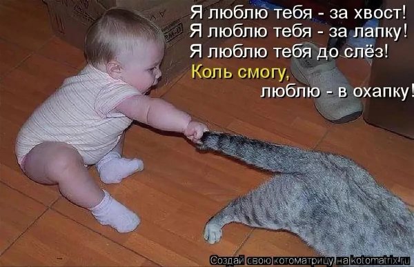 Смешные картинки до слёз