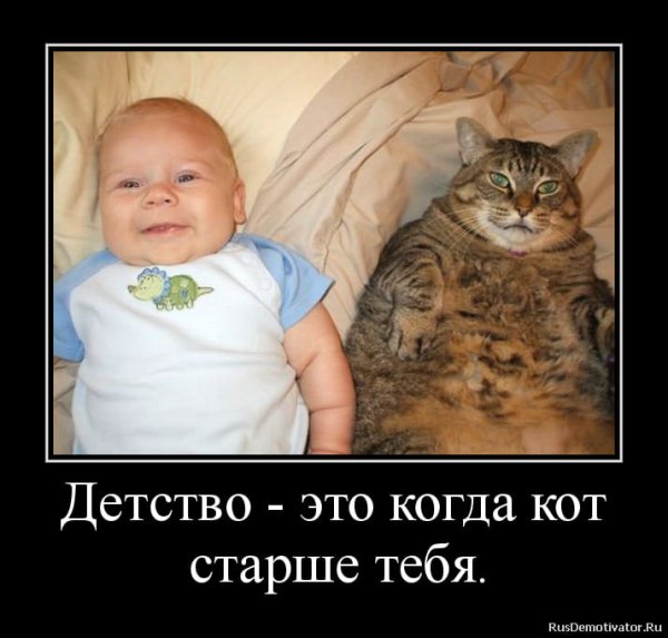 Смешные фото с надписями