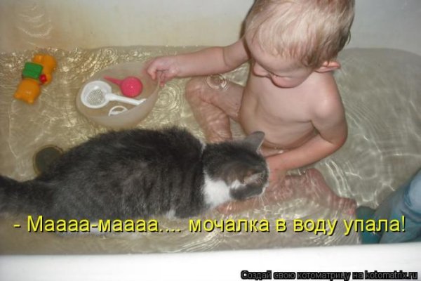 Смешные картинки с надписями про животных и детей
